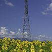 鉄塔写真サムネイル