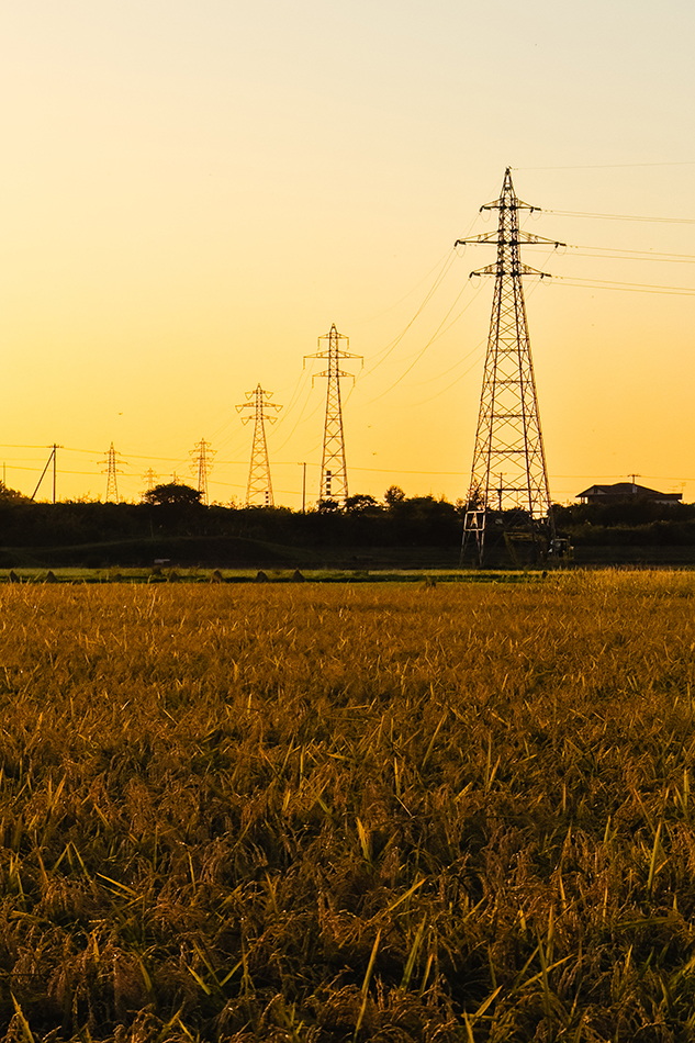 夏にそびえる北海道の鉄塔 100基　鉄塔写真