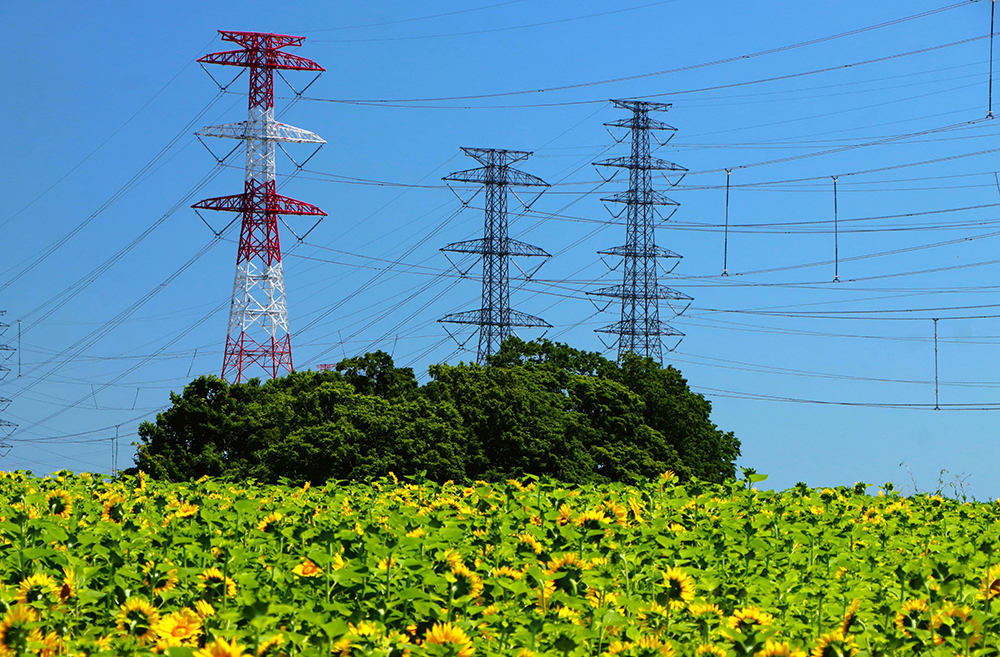 夏にそびえる北海道の鉄塔 100基　鉄塔写真