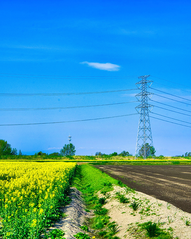 夏にそびえる北海道の鉄塔 100基　鉄塔写真