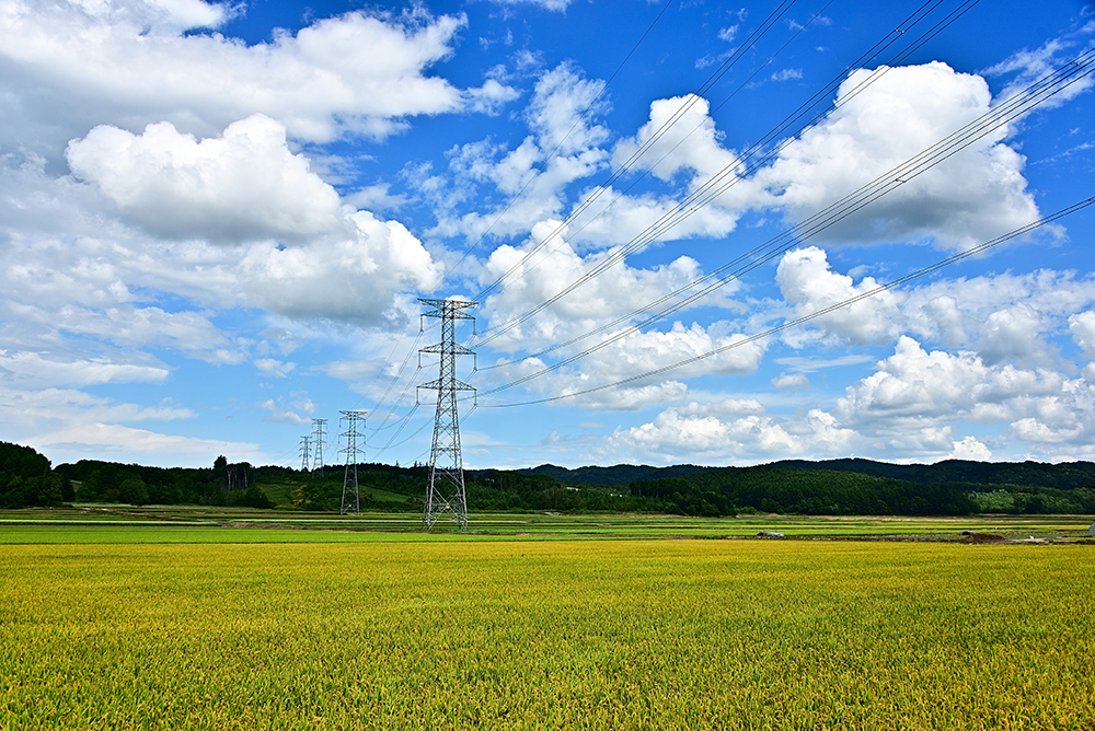 夏にそびえる北海道の鉄塔 100基　鉄塔写真