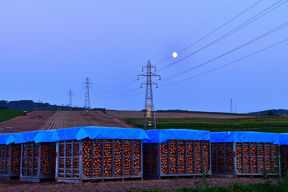夏にそびえる北海道の鉄塔 100基　鉄塔写真
