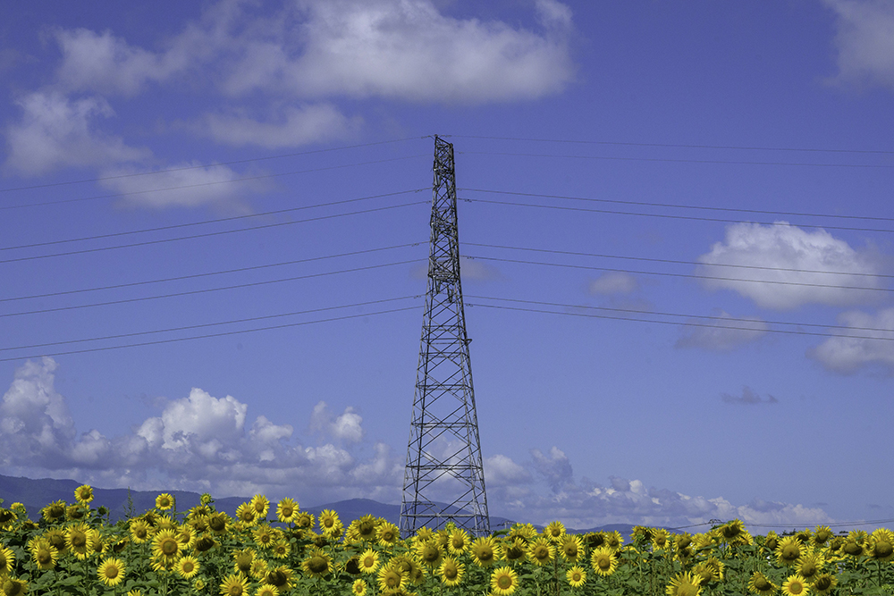 夏にそびえる北海道の鉄塔 100基　鉄塔写真