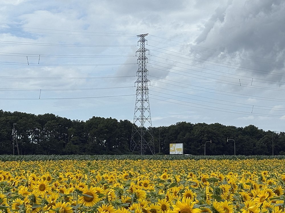 夏にそびえる北海道の鉄塔 100基　鉄塔写真