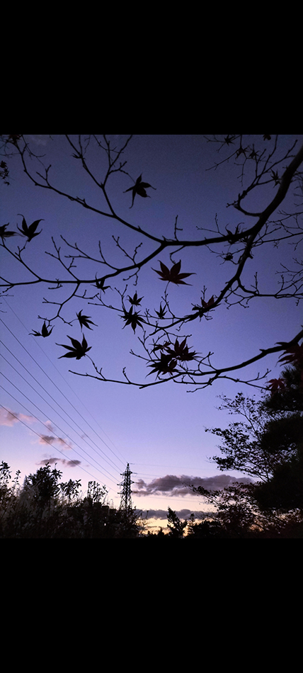 夏にそびえる北海道の鉄塔 100基　鉄塔写真