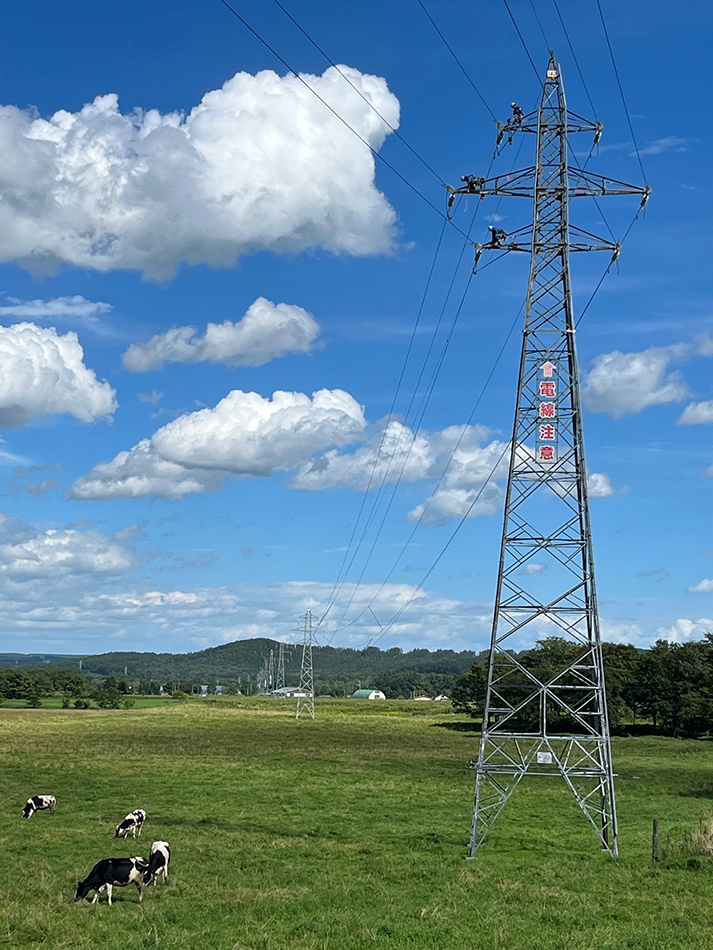 夏にそびえる北海道の鉄塔 100基　鉄塔写真